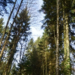 2016-12 France/Rumilly/DSC_0067.JPG